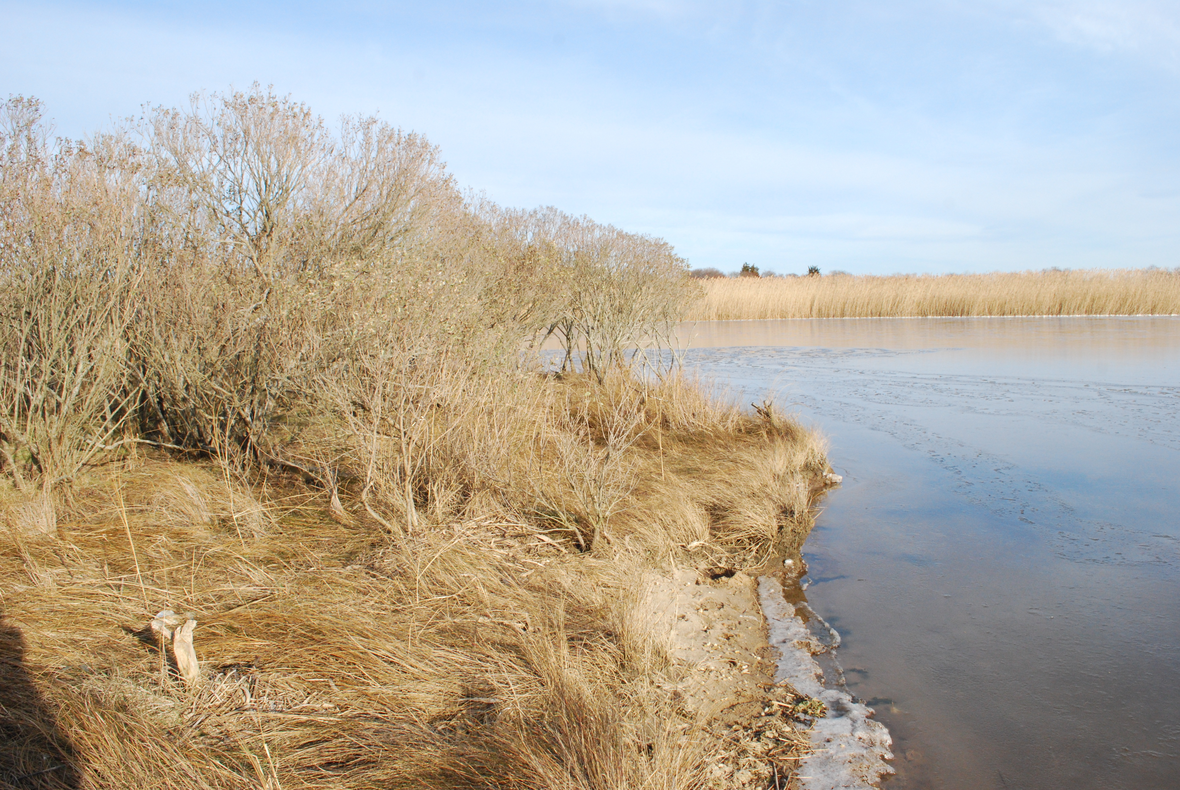 View of Smith Corner and Sagg Pond