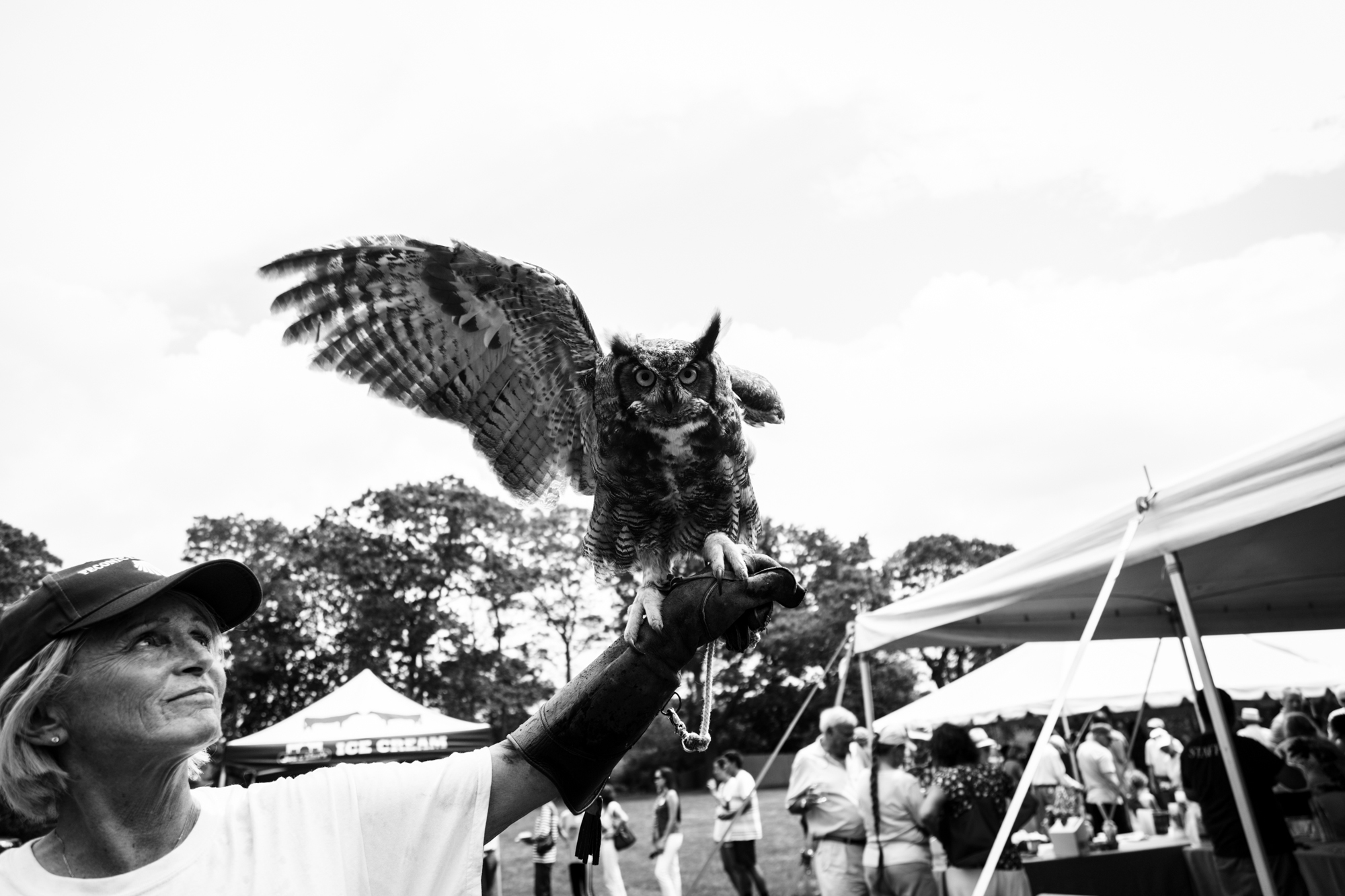 Owl and handler at Peconinic 2018