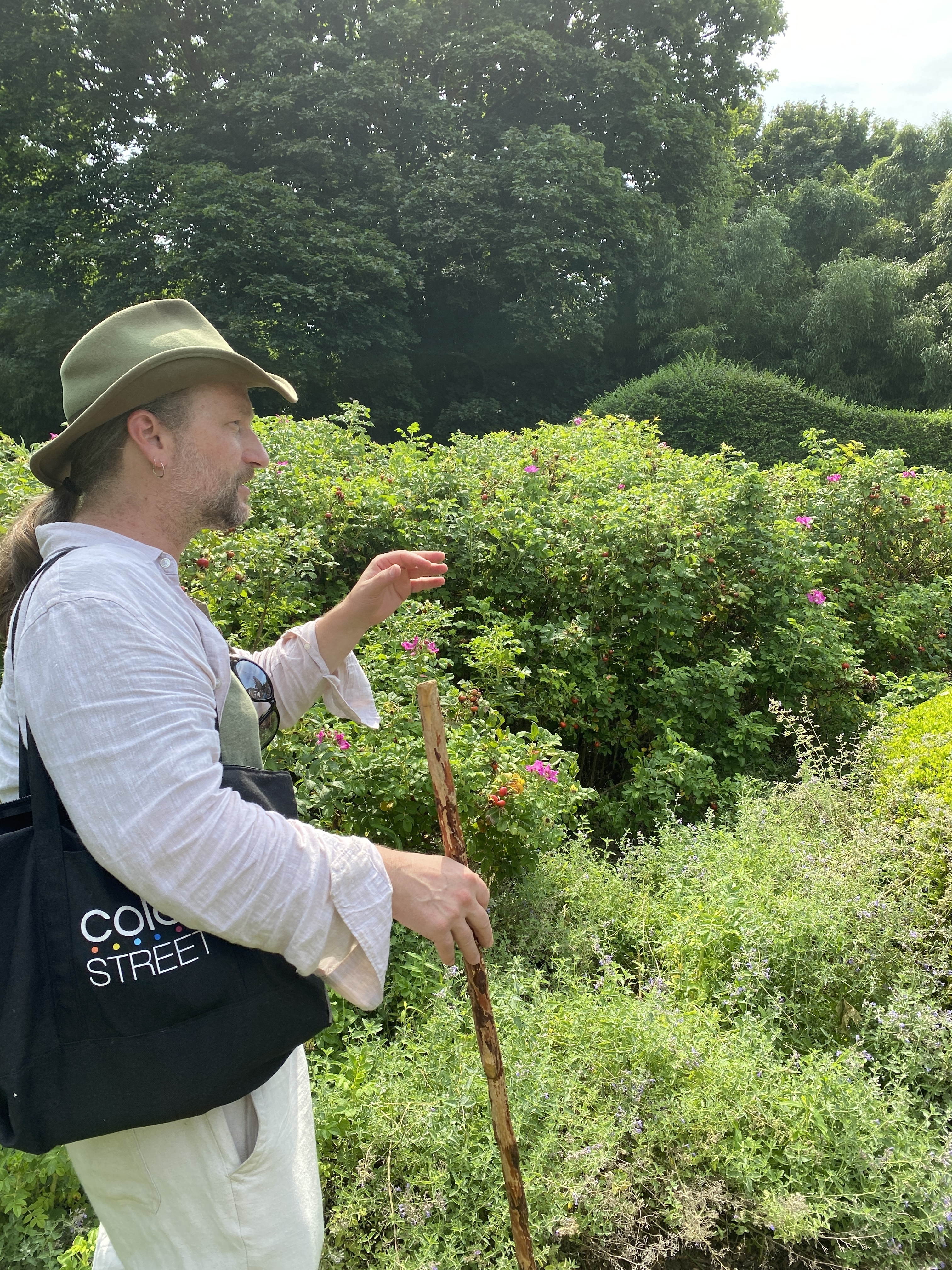 Angus by the Rosa rugosa