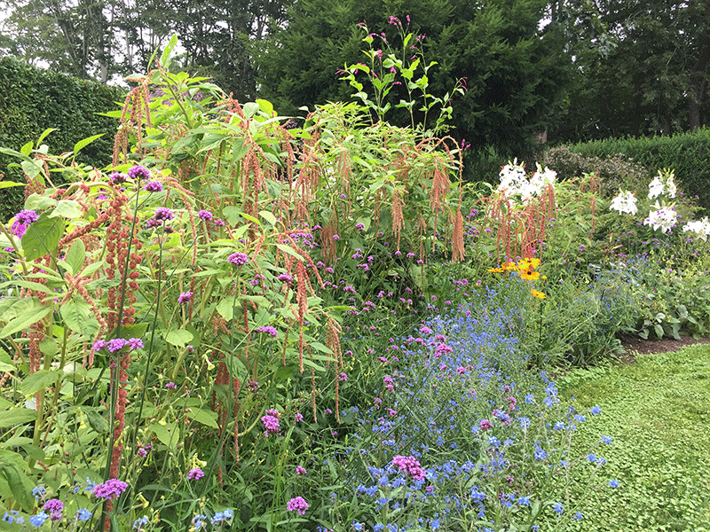 BG perennial bed