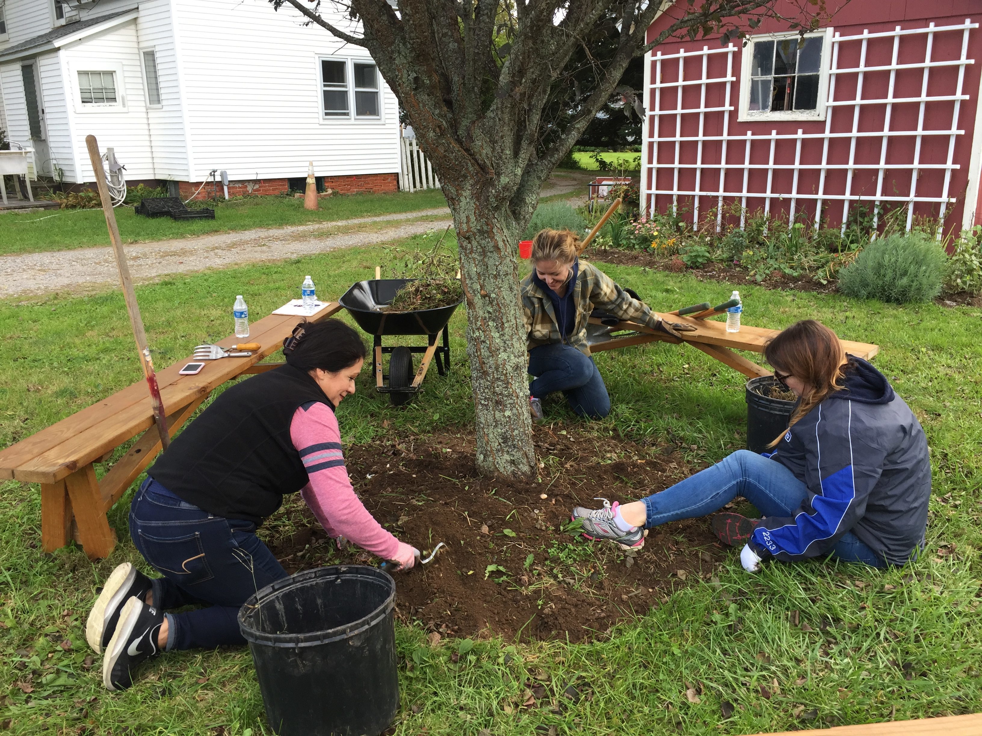 Lowes volunteers planting bulbs around a tree