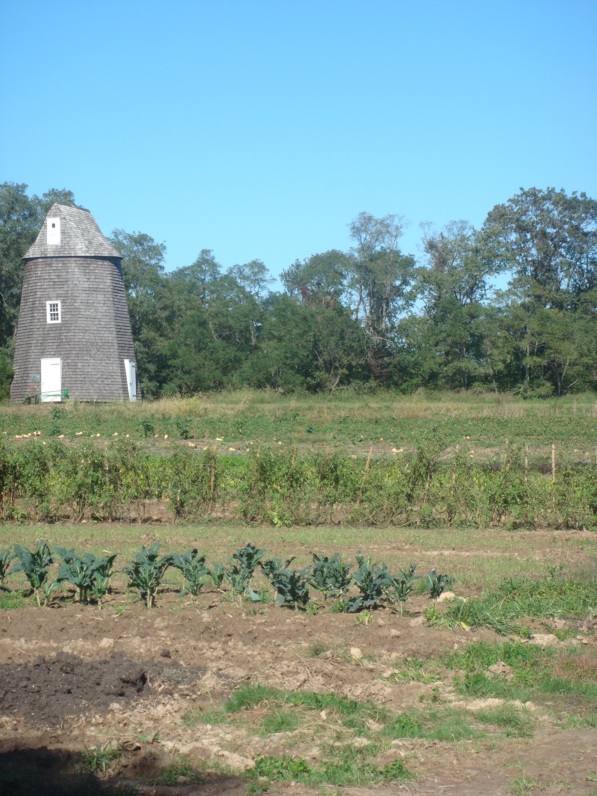 windmill