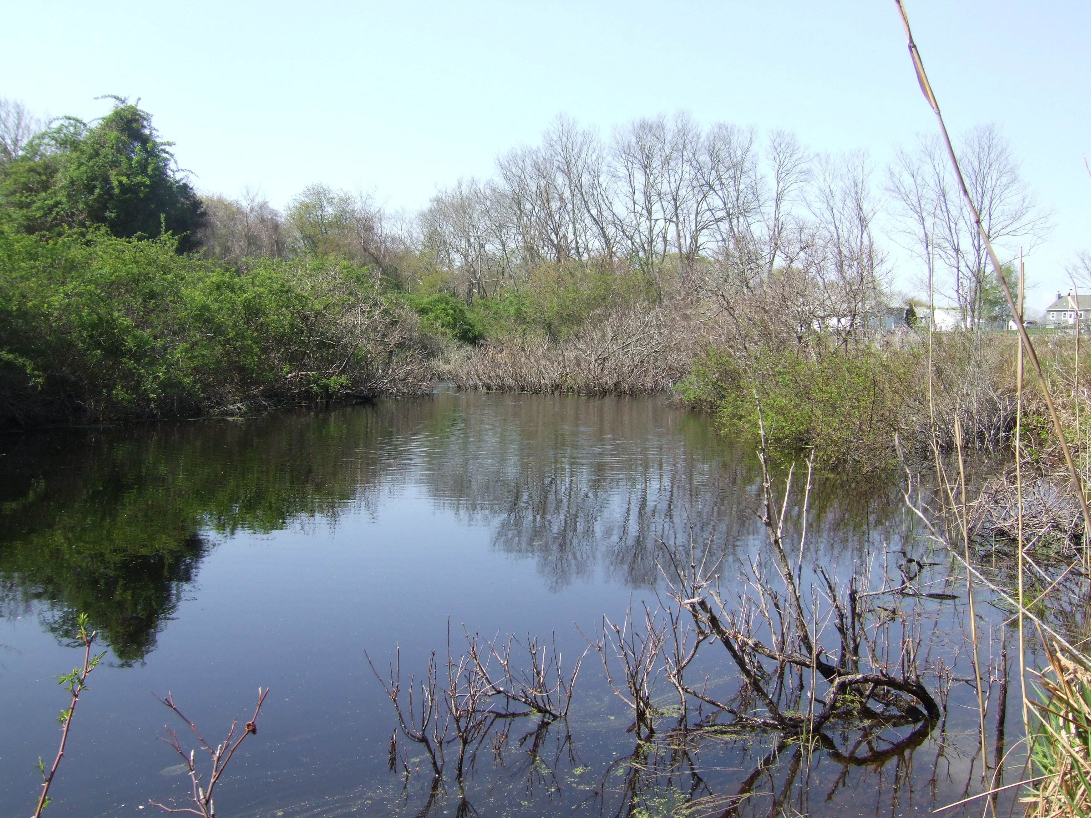 Water at Wolf Preserve