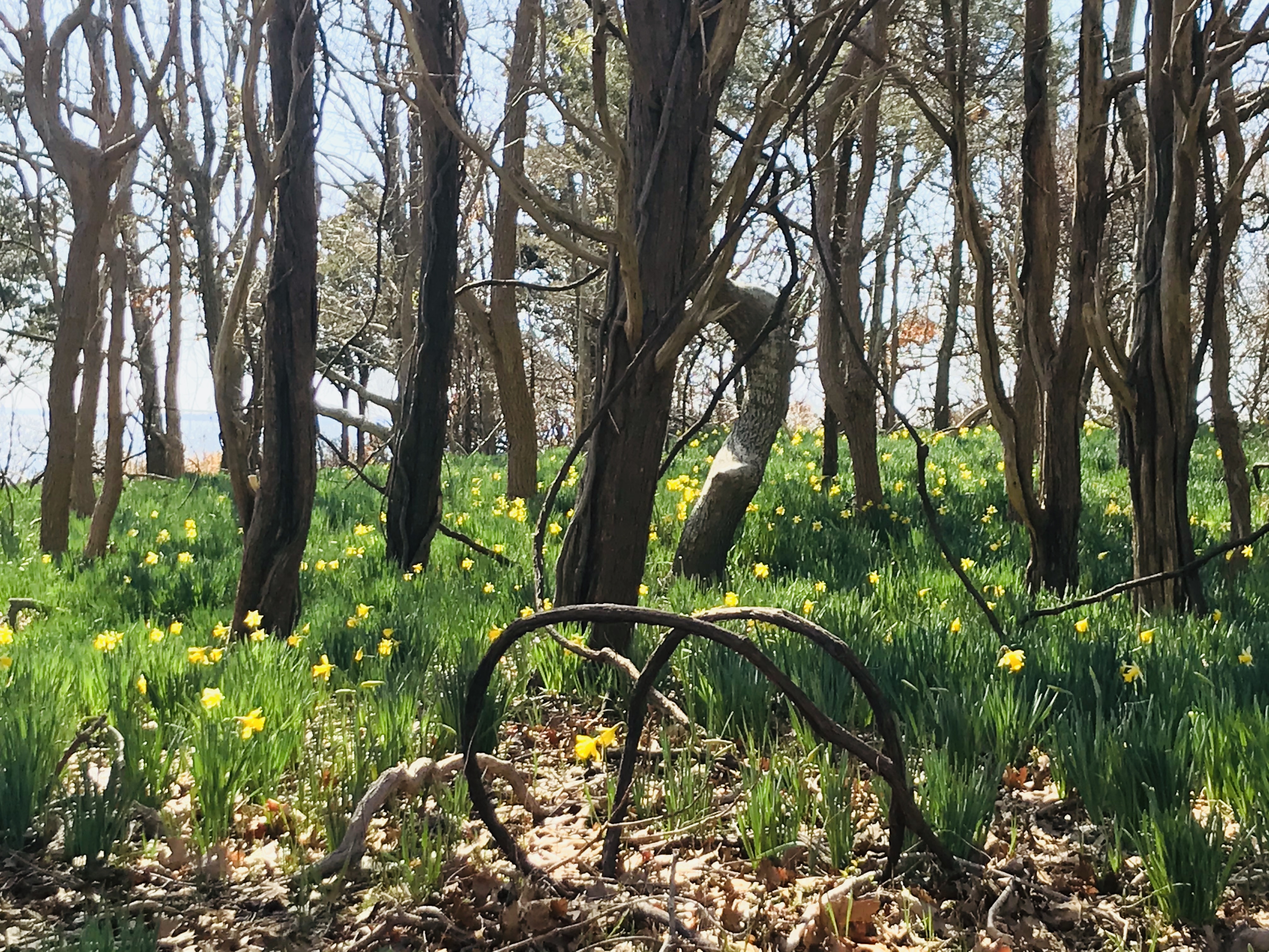 Elizabeth Morton National Wildlife Refuge