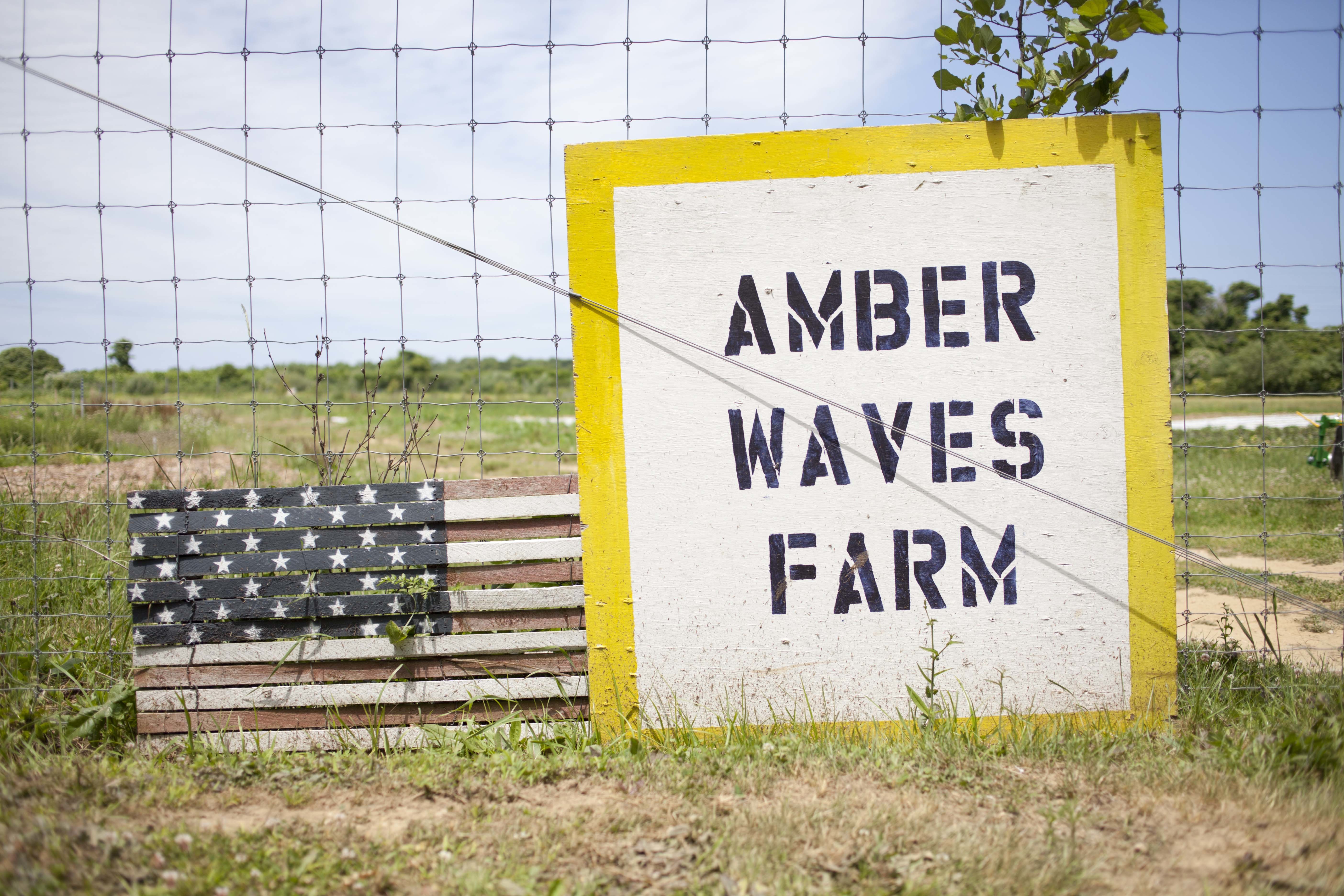 Amber Waves farm sign