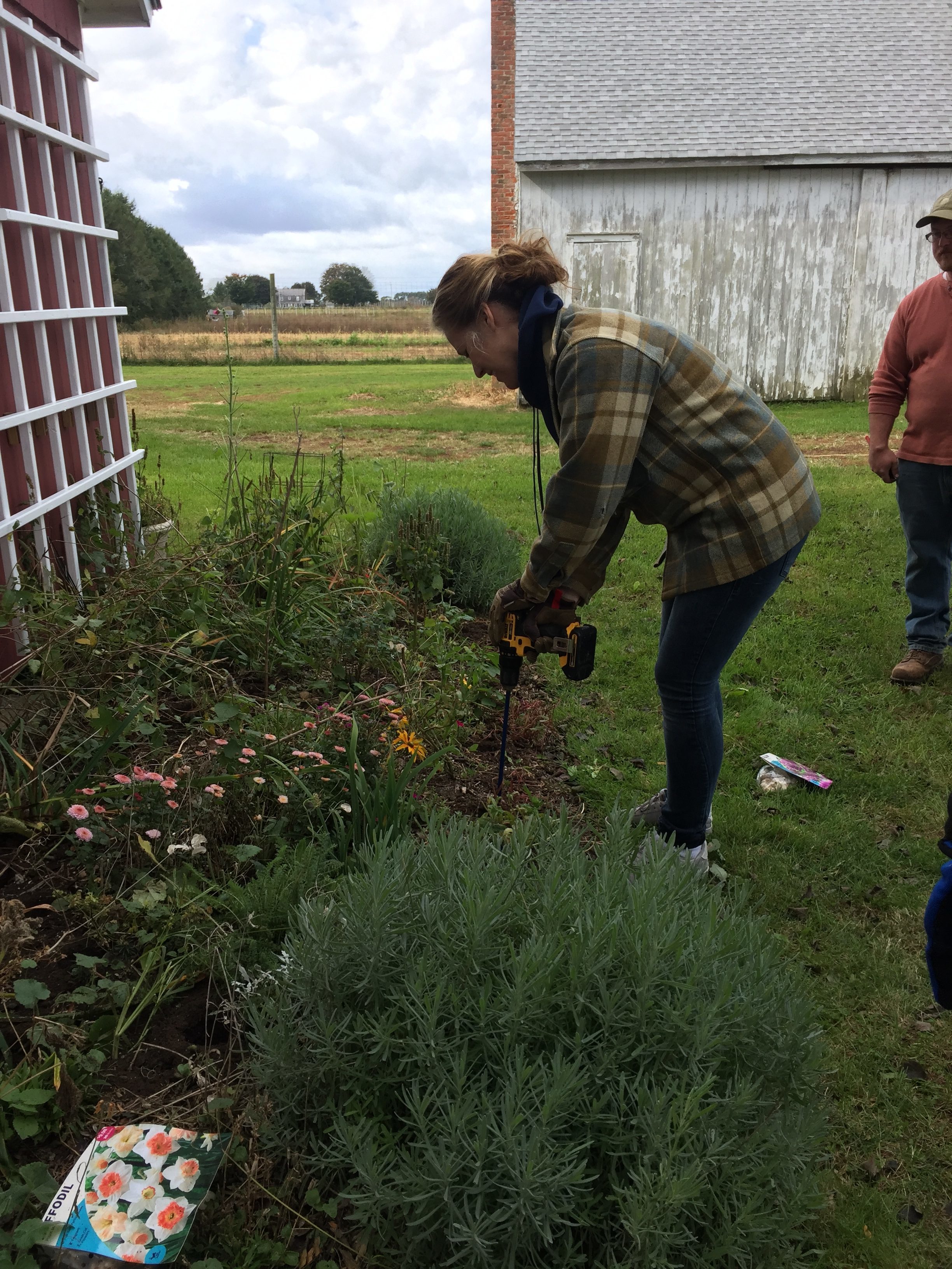 volunteer working in a garden bed