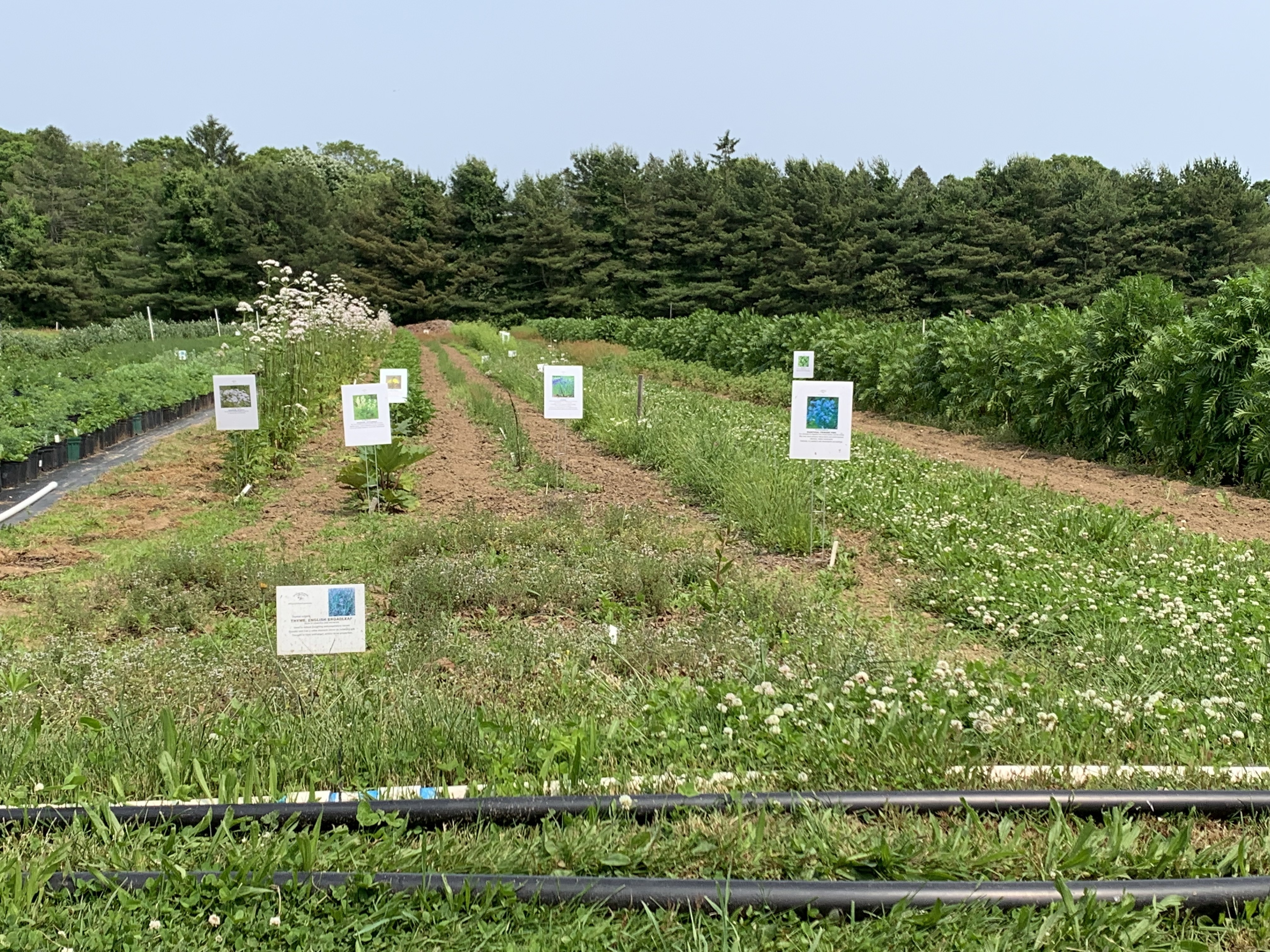 farm field with crops and signs