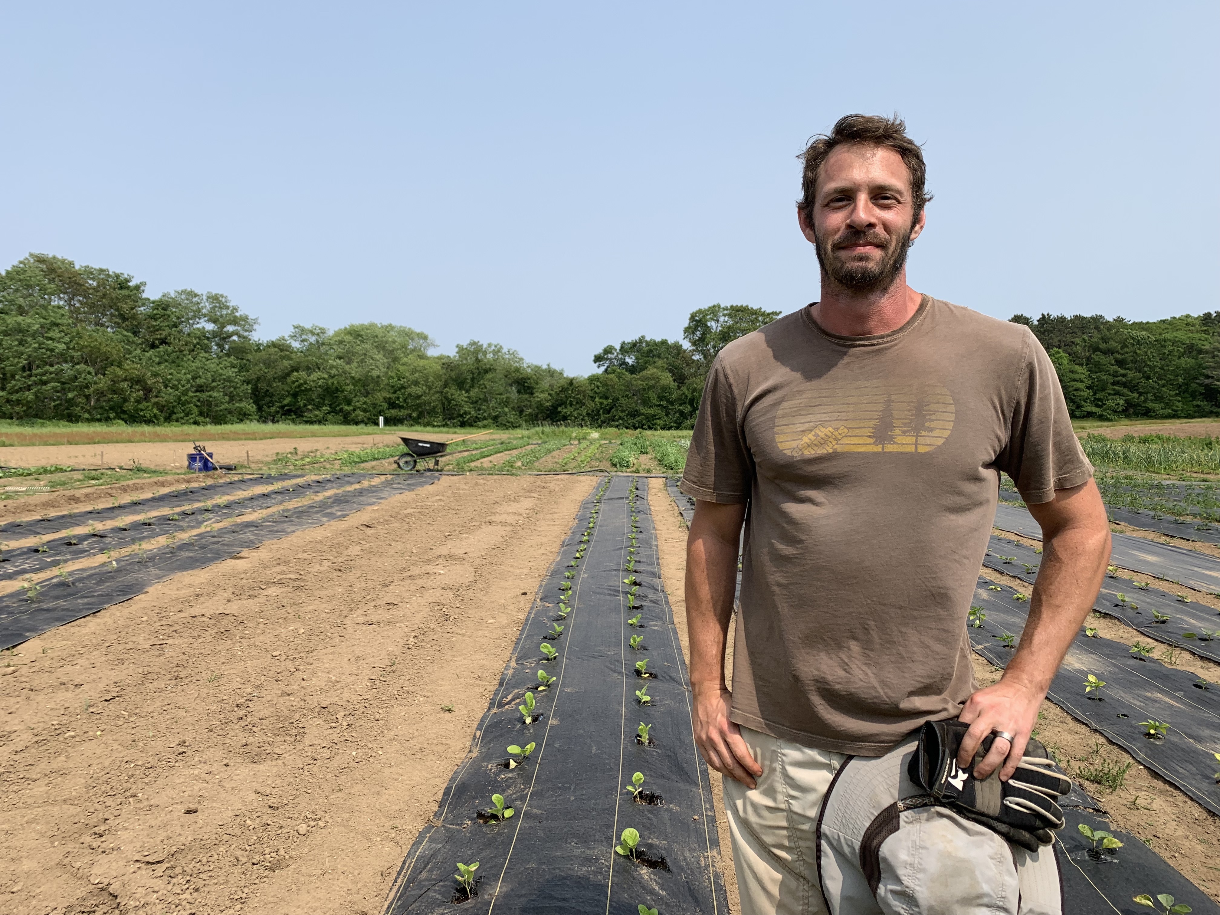 farmer in front of crops