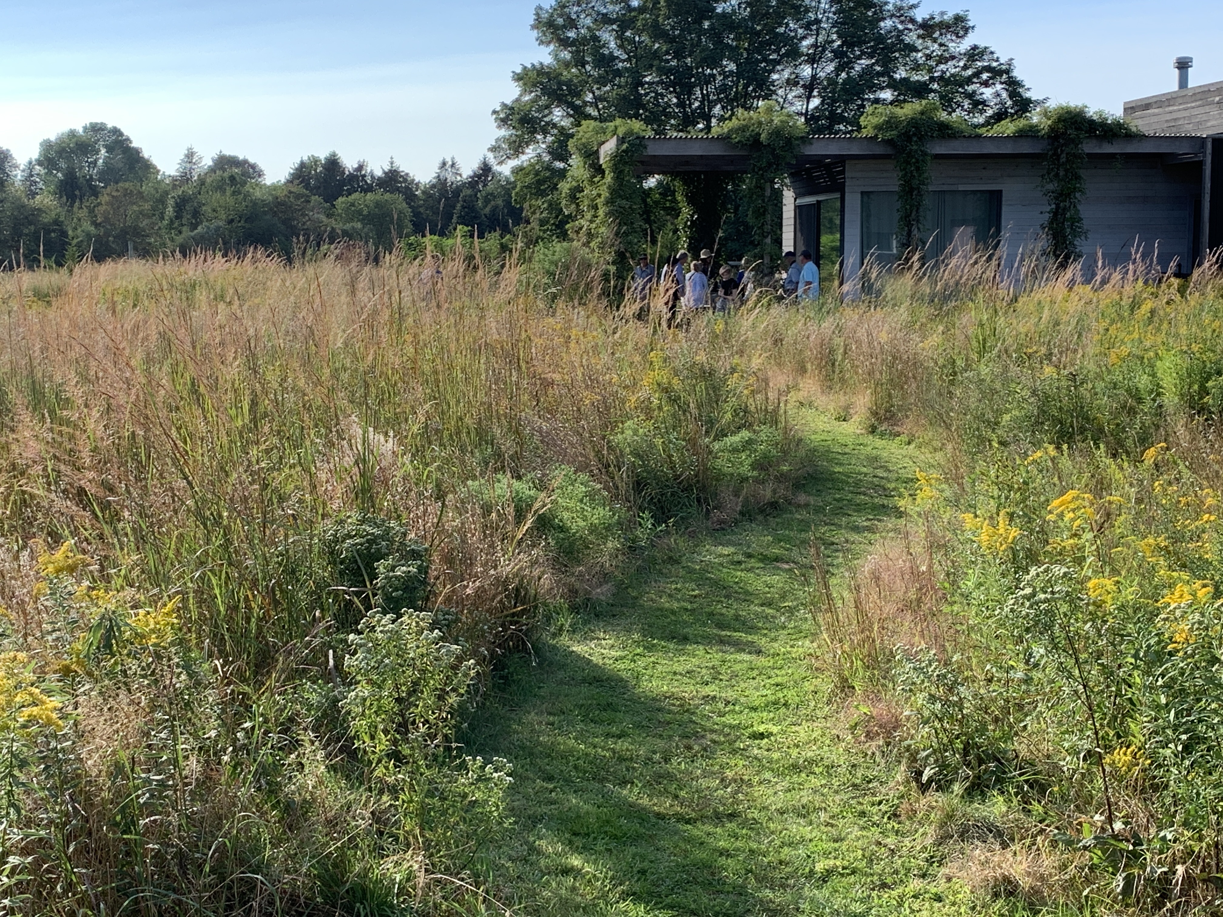 Tour group and the pathway