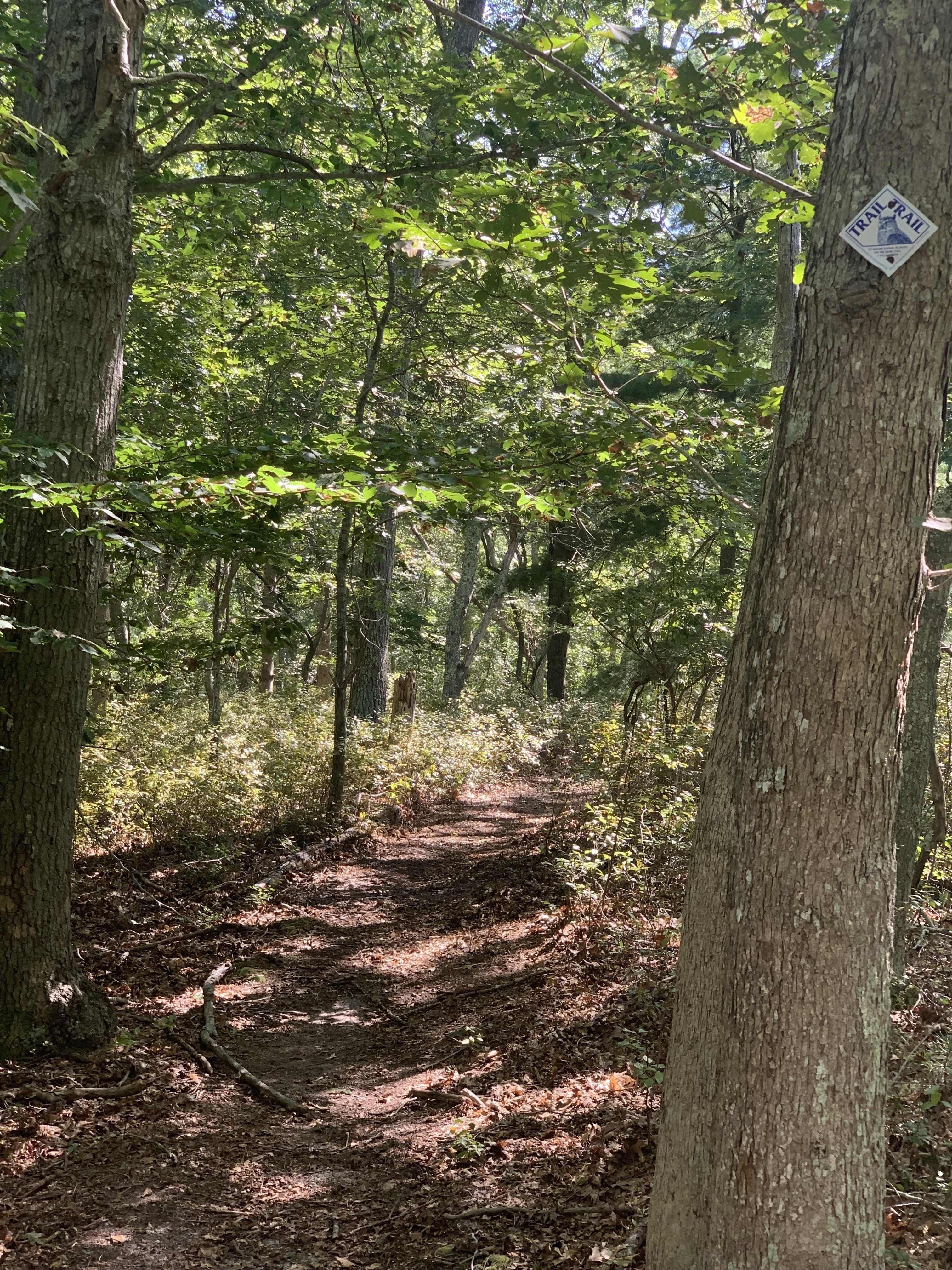 Trail at Elliston Family Preservation