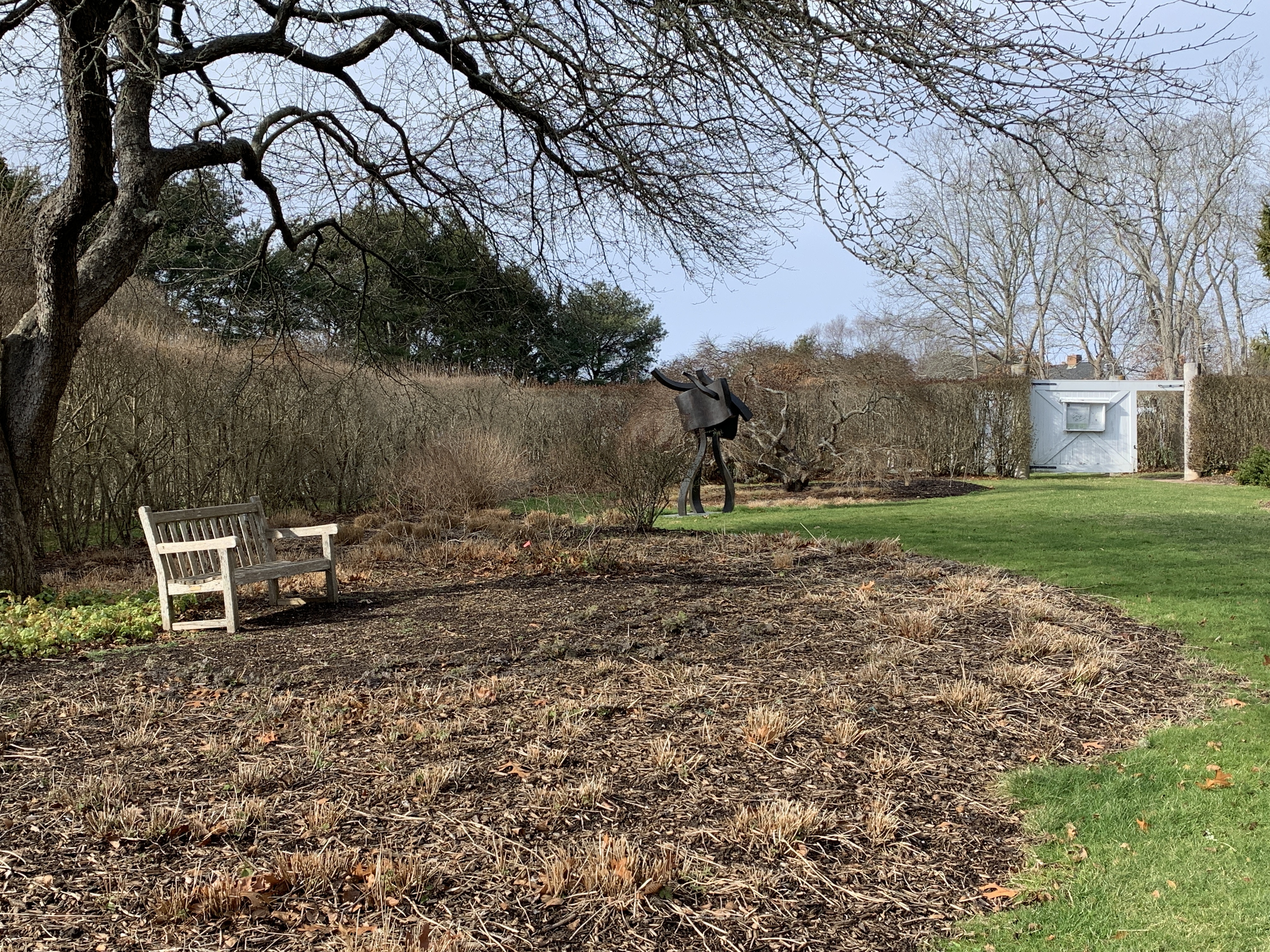 garden bed with bench