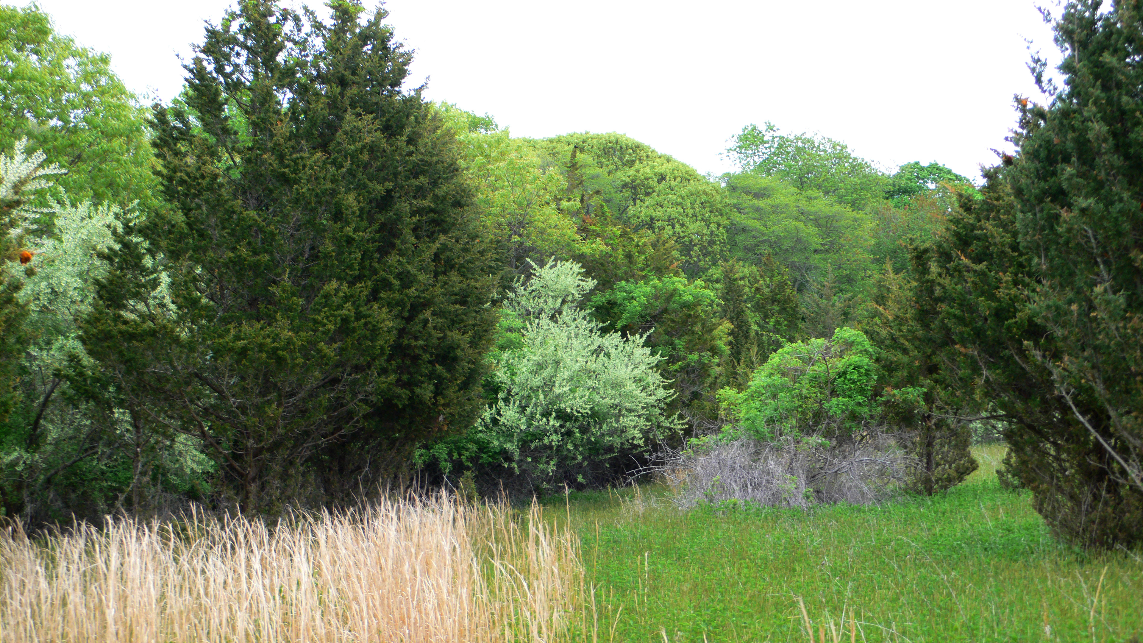 Wolf Preserve Southold