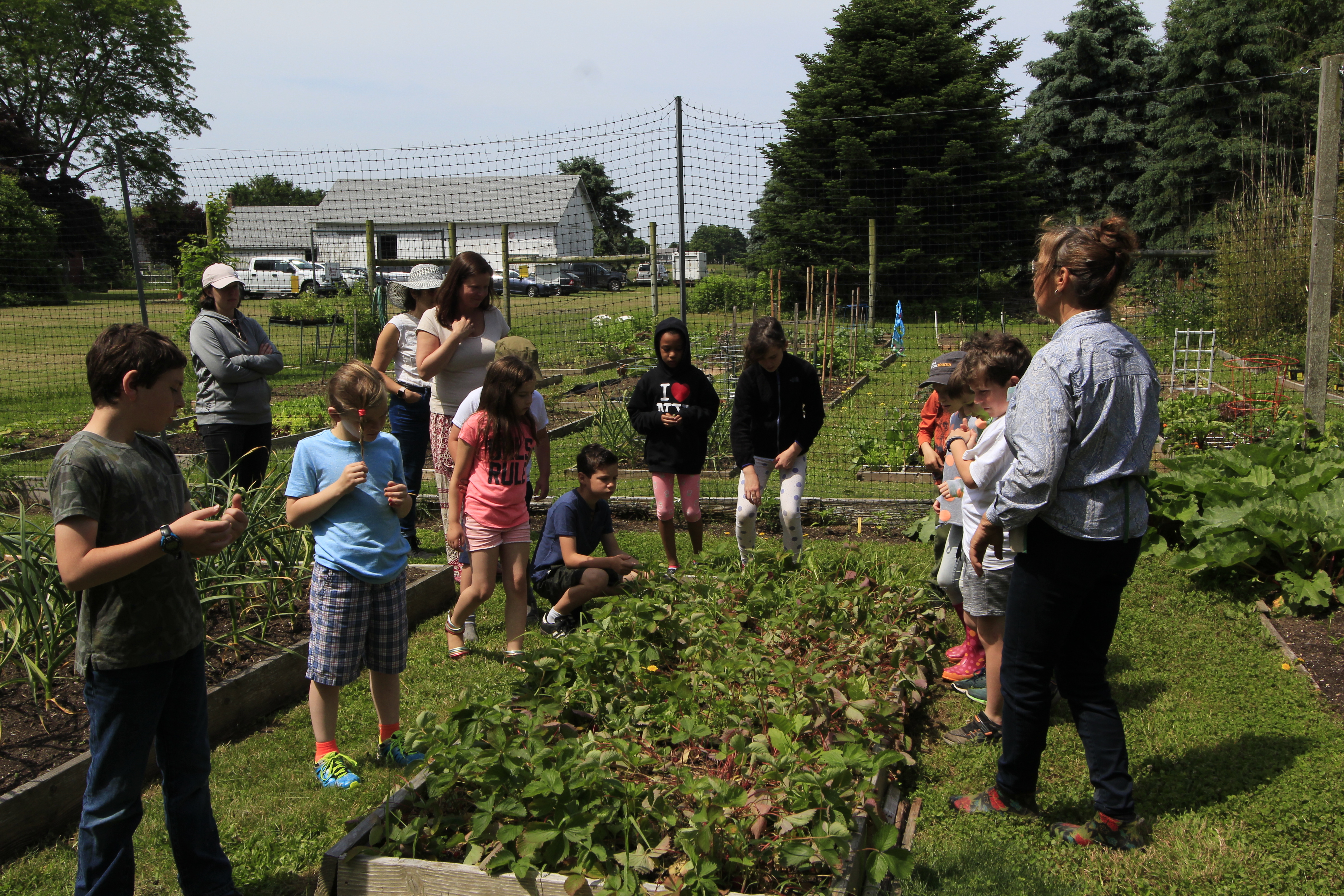 Students at the community garden at the Ag Center