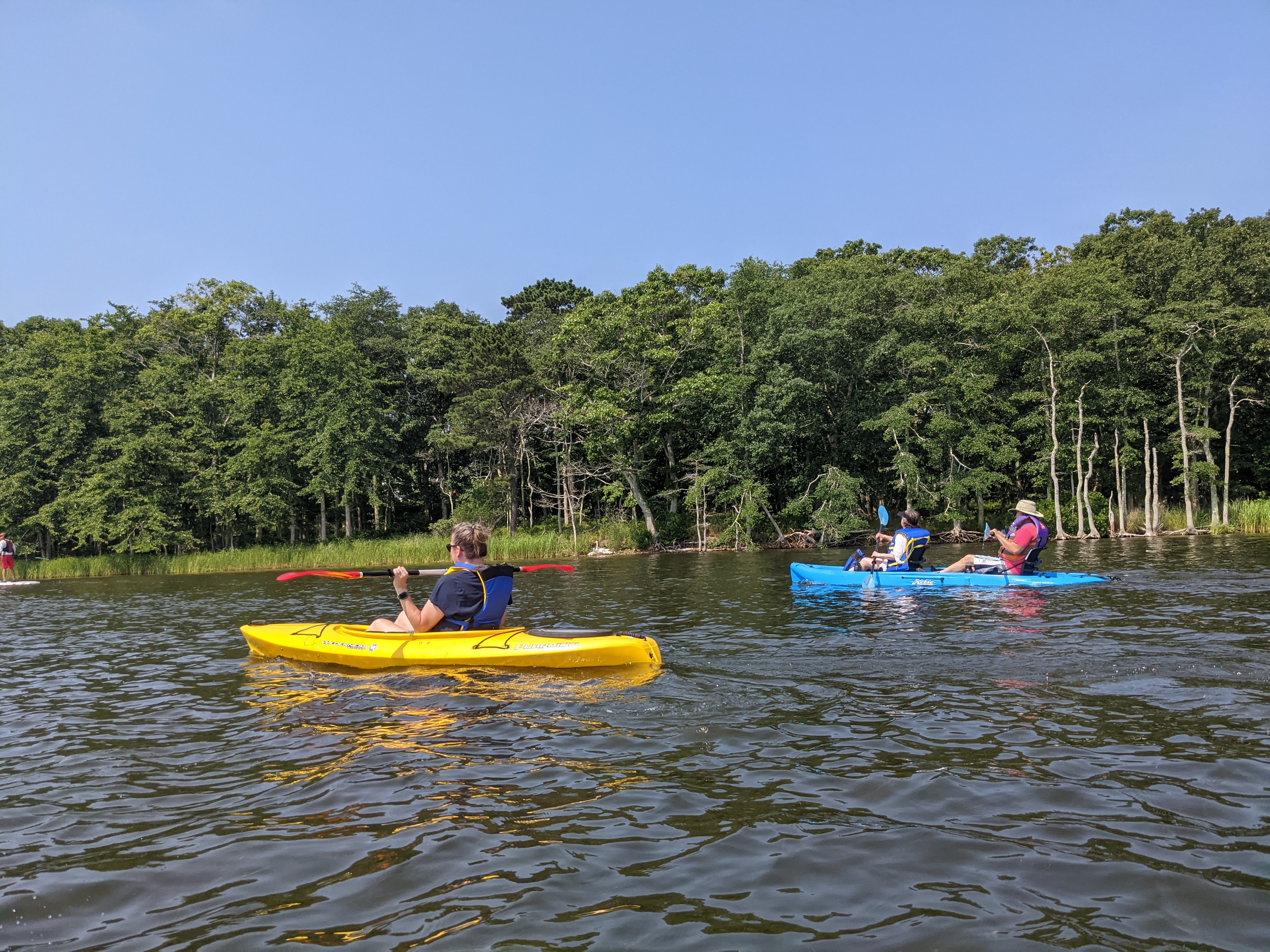 Paddling along Georgica Pond