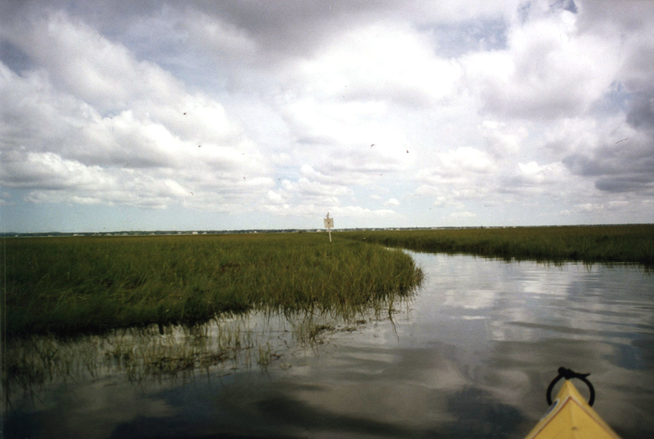 Paddling by Swan Island