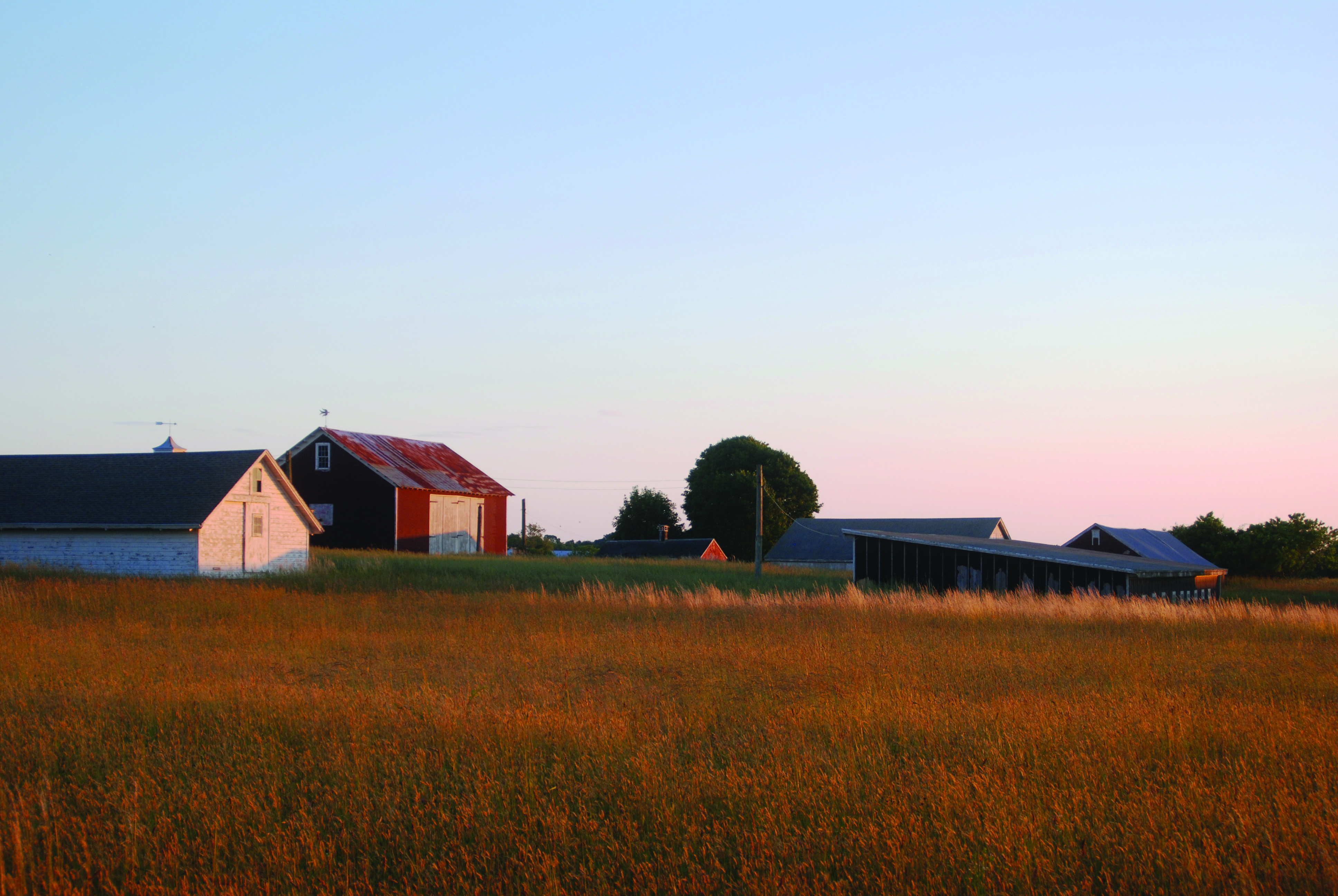 Szoka Kathryn Hendrickson Farm