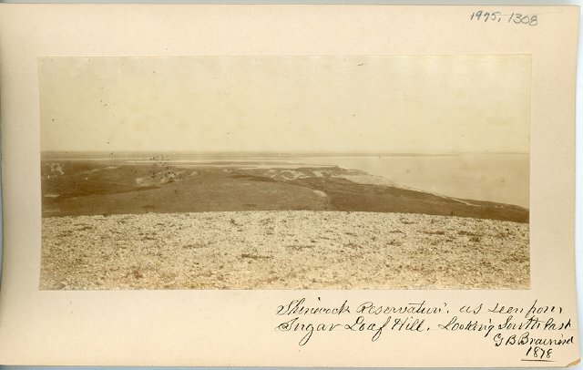 View from Sugar Loaf Looking southeast to Shinnecock Neck GBB 1878