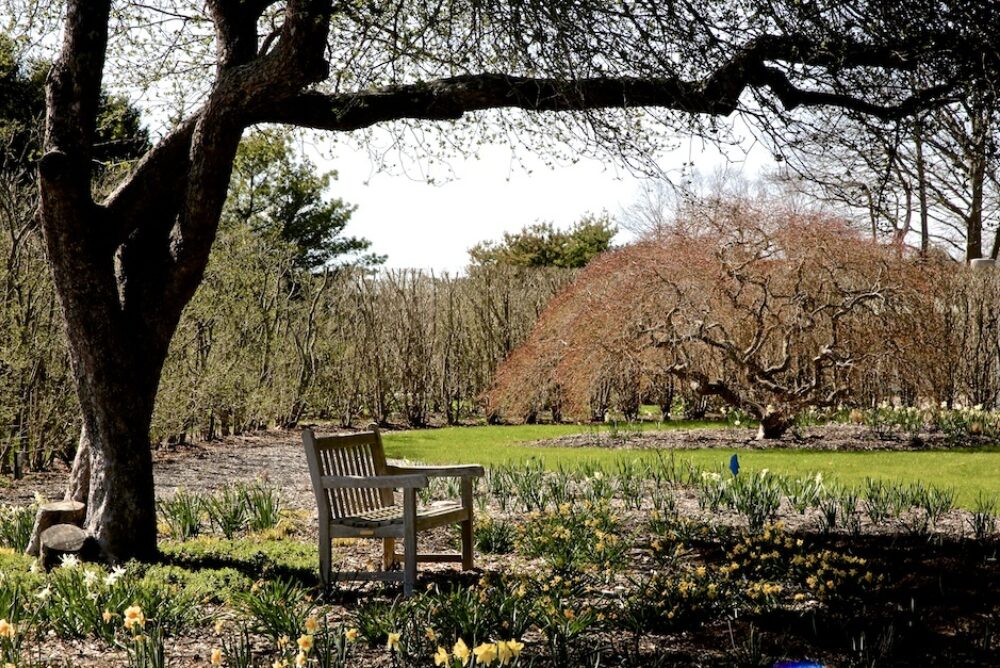 Bridge Gardens and bench