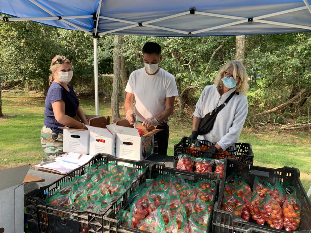 Volunteers packing the produce from Quail Hill Farm