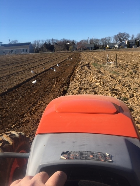 tractor view at the Ag Center