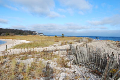 Beach and dunes at Reel Point Preserve 