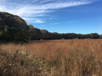 Deep Hole Creek field 