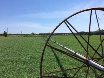 Irrigation wheel spoke on grass