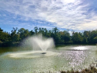 Fountain at Westmoreland Preserve 