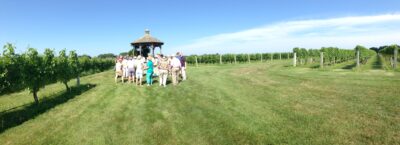 People in front of the gazebo at Wolffer Estate Vineyards 