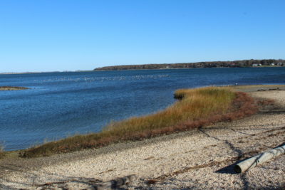 Living Shoreline Widows Hole