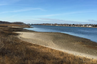 Shoreline at the Stoutenburgh Preserve 