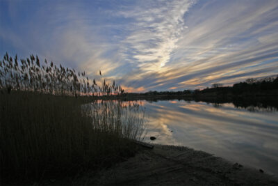 Smith Corner Preserve Ellen Watson 