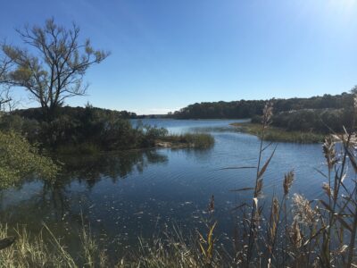 Water view at Broad Cove 