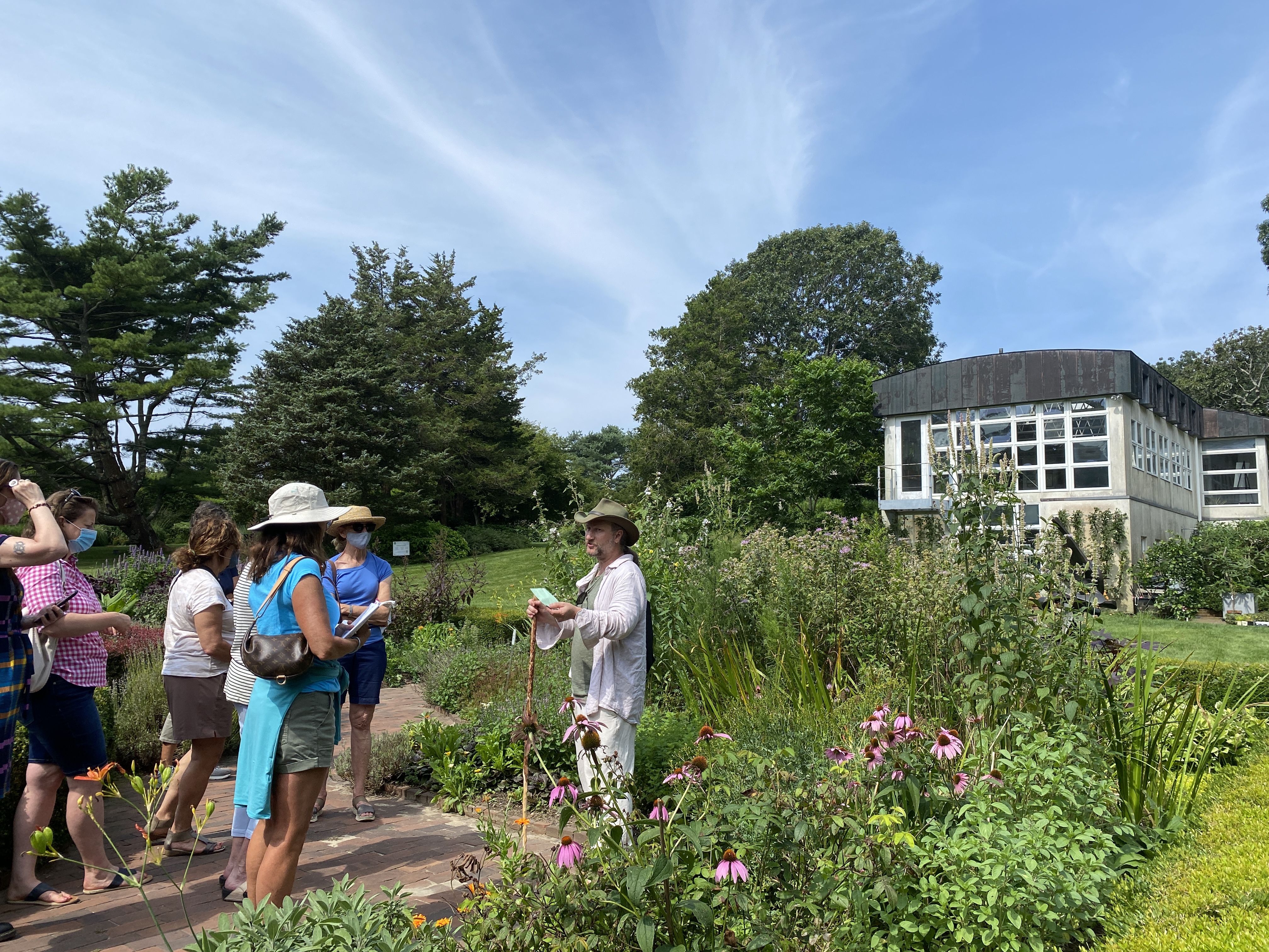 Group by the medicinal herb bed