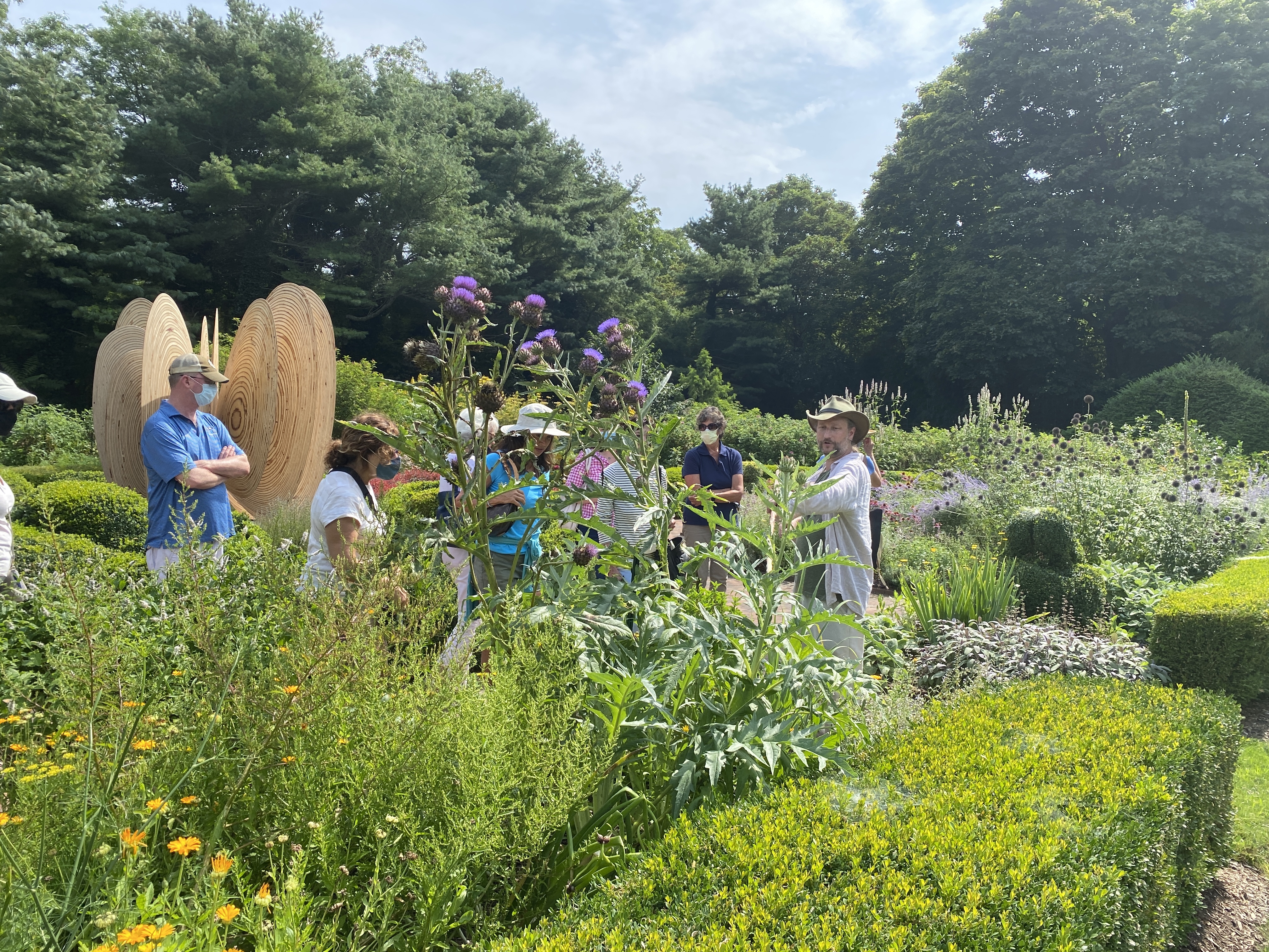 Group with the artichoke flowers and leaves