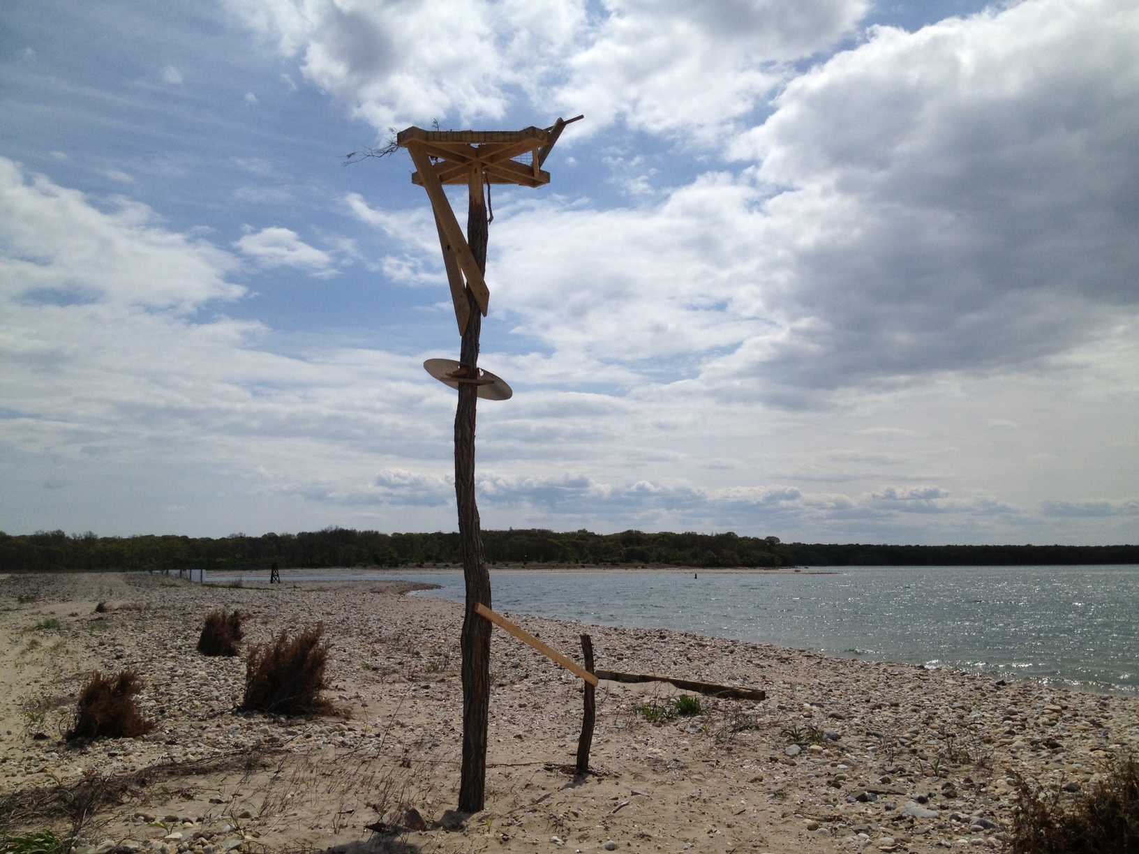 Osprey Nest at Reel Point Preserve