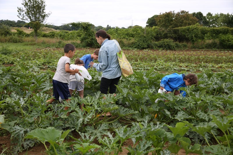 Kids at Quail Hill Farm