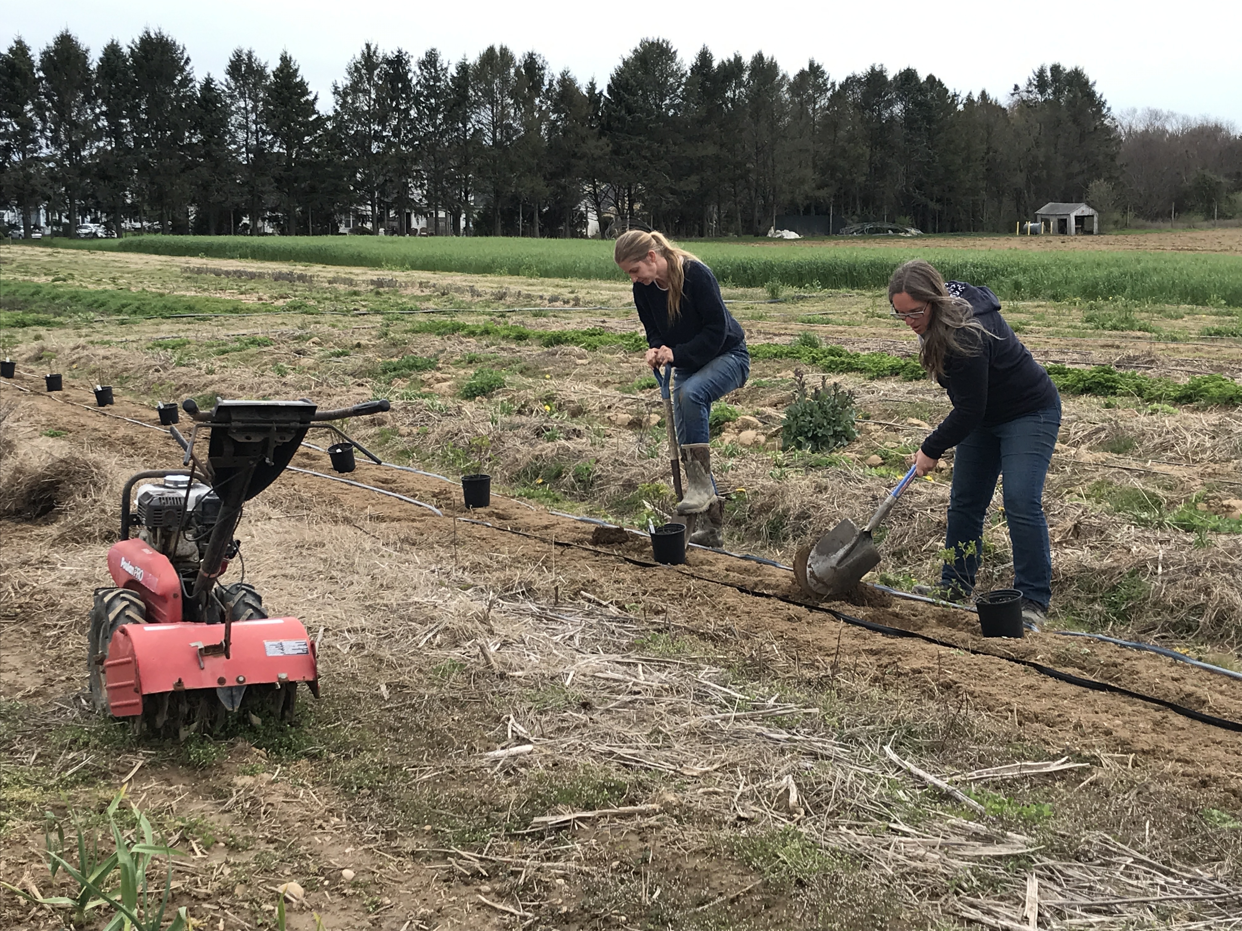 Sweet woodland farm - People working the farm field